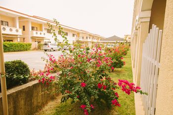 Outdoor Pictures 23