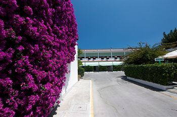 Outdoor Pictures 24