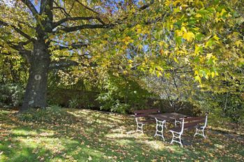 Outdoor Pictures 21