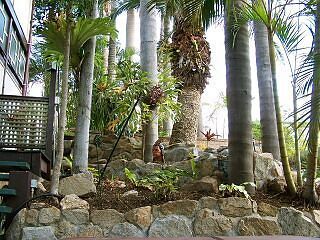 Outdoor Pictures 19
