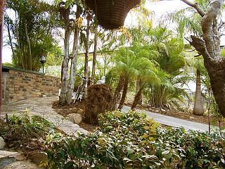 Outdoor Pictures 18