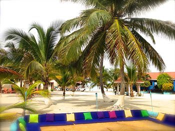 Blue Marlin Beach Resort