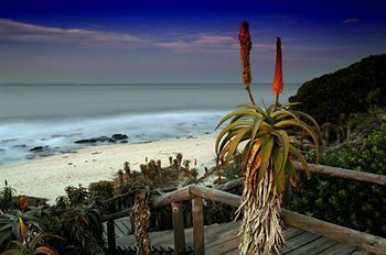 Outdoor Pictures 22