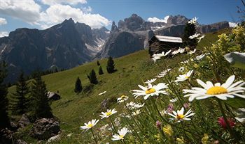 Outdoor Pictures 20