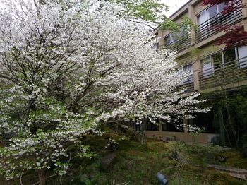 Outdoor Pictures 24