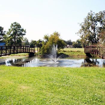 Outdoor Pictures 21