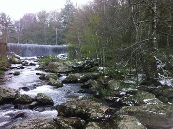 Outdoor Pictures 23