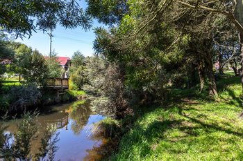 Outdoor Pictures 22