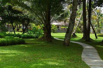 Outdoor Pictures 20
