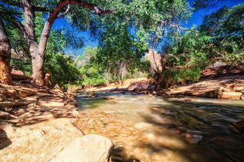 Outdoor Pictures 21