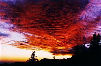 Outdoor Pictures 19
