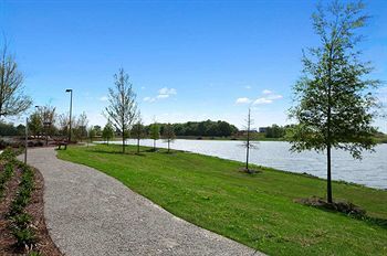 Outdoor Pictures 21
