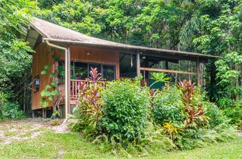 Epiphyte B & B