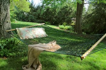 Outdoor Pictures 21