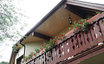 Outdoor Pictures 24