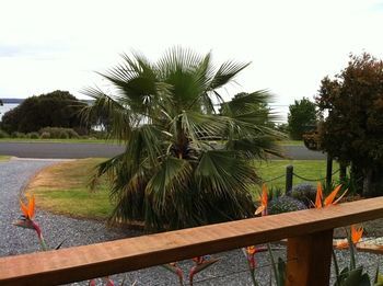 Outdoor Pictures 17