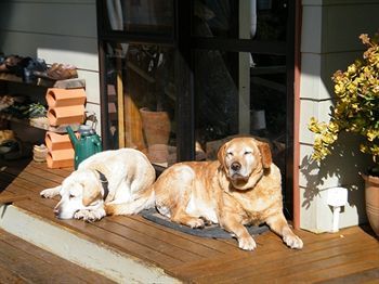 Outdoor Pictures 14