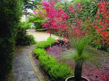 Outdoor Pictures 15
