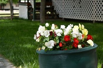 Outdoor Pictures 20