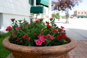 Outdoor Pictures 22