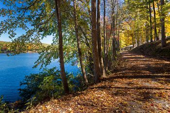 Outdoor Pictures 21