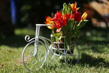 Outdoor Pictures 22