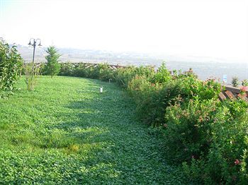 Outdoor Pictures 14