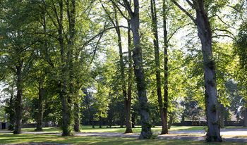 Outdoor Pictures 22