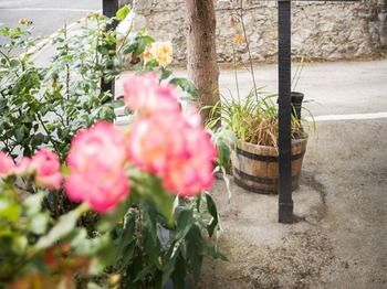 Outdoor Pictures 22