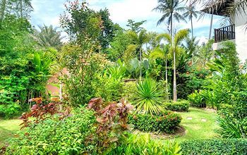 Outdoor Pictures 20