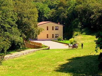 Outdoor Pictures 23
