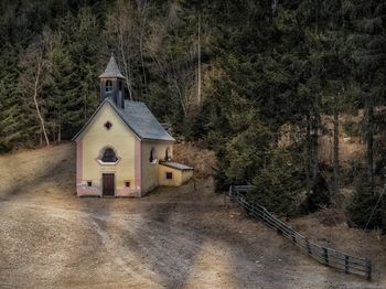 Outdoor Pictures 24