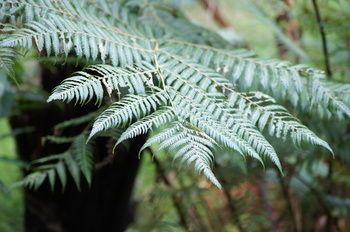 Outdoor Pictures 15