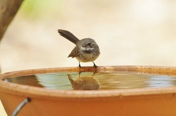 Outdoor Pictures 22