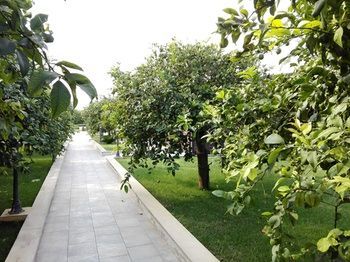 Outdoor Pictures 21