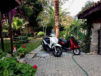 Outdoor Pictures 19