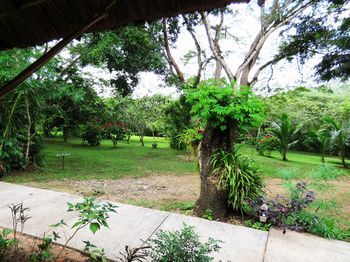 Outdoor Pictures 21