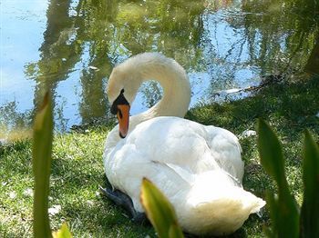 Outdoor Pictures 19
