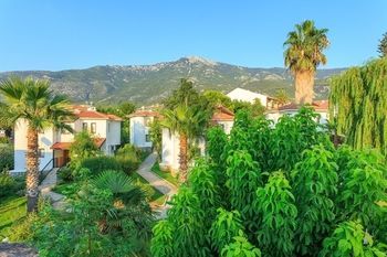 Outdoor Pictures 24