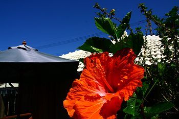 Outdoor Pictures 20