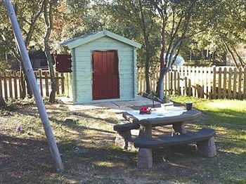 Outdoor Pictures 24