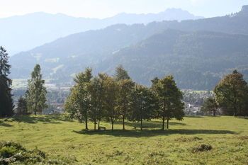 Outdoor Pictures 22