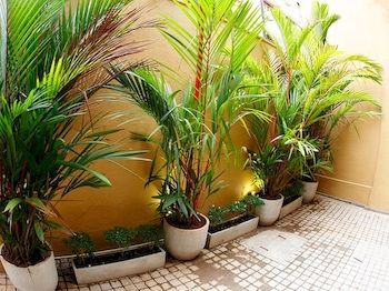 Outdoor Pictures 22