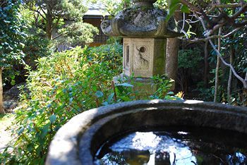 Outdoor Pictures 15