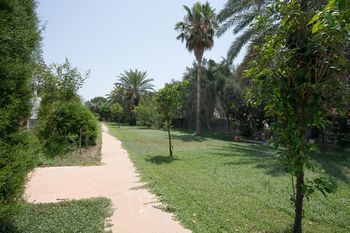 Outdoor Pictures 22