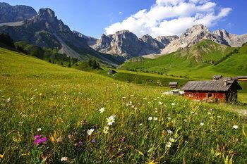 Outdoor Pictures 20