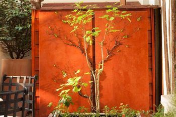 Outdoor Pictures 24