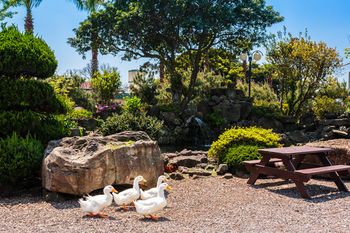 Outdoor Pictures 22