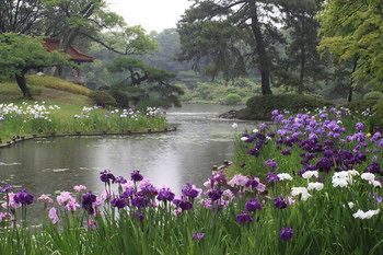 Outdoor Pictures 20