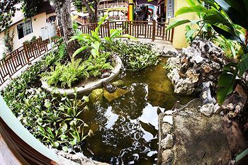 Outdoor Pictures 21